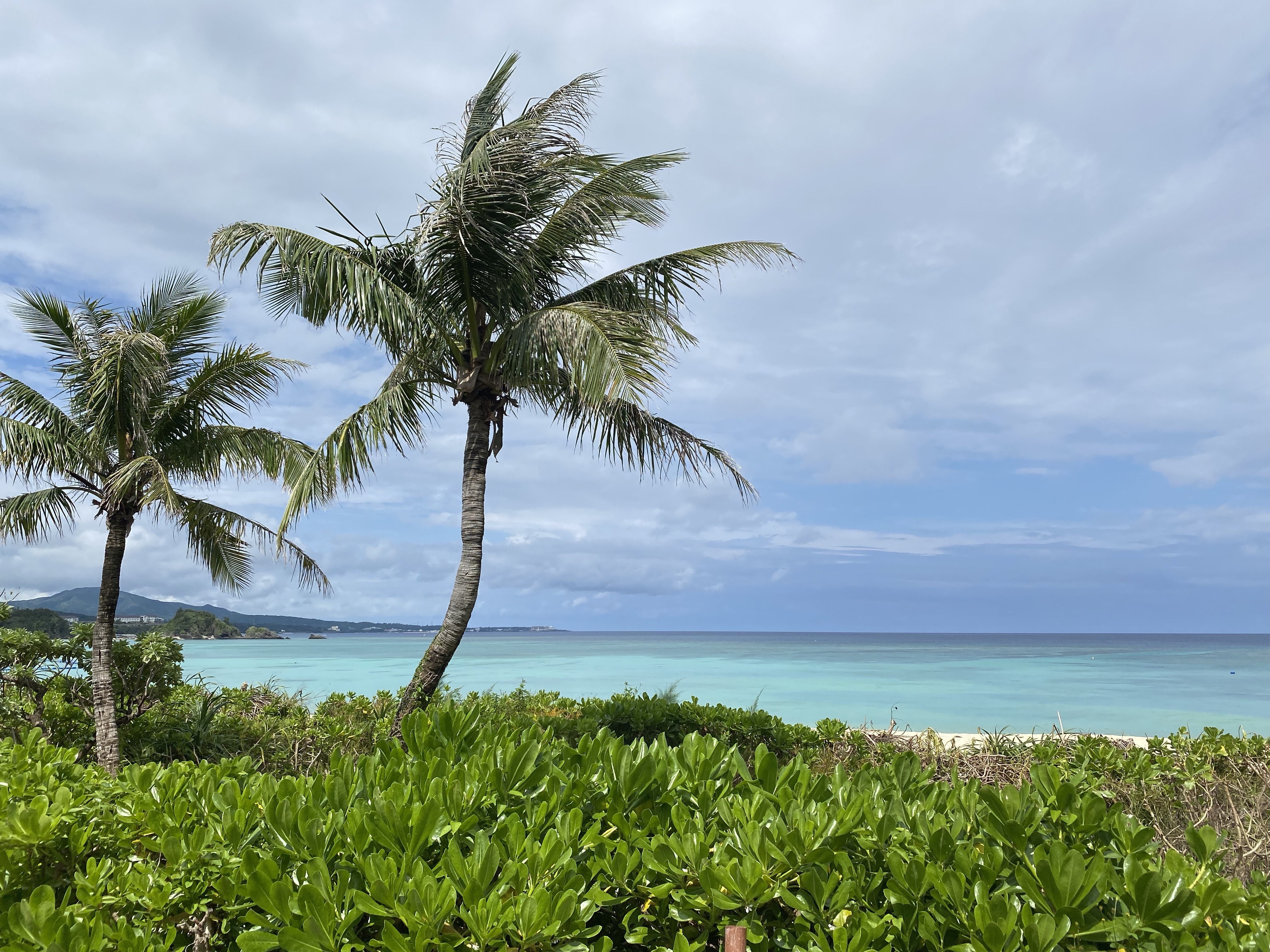 Okinawa First Impressions. – The Organized Outlaw